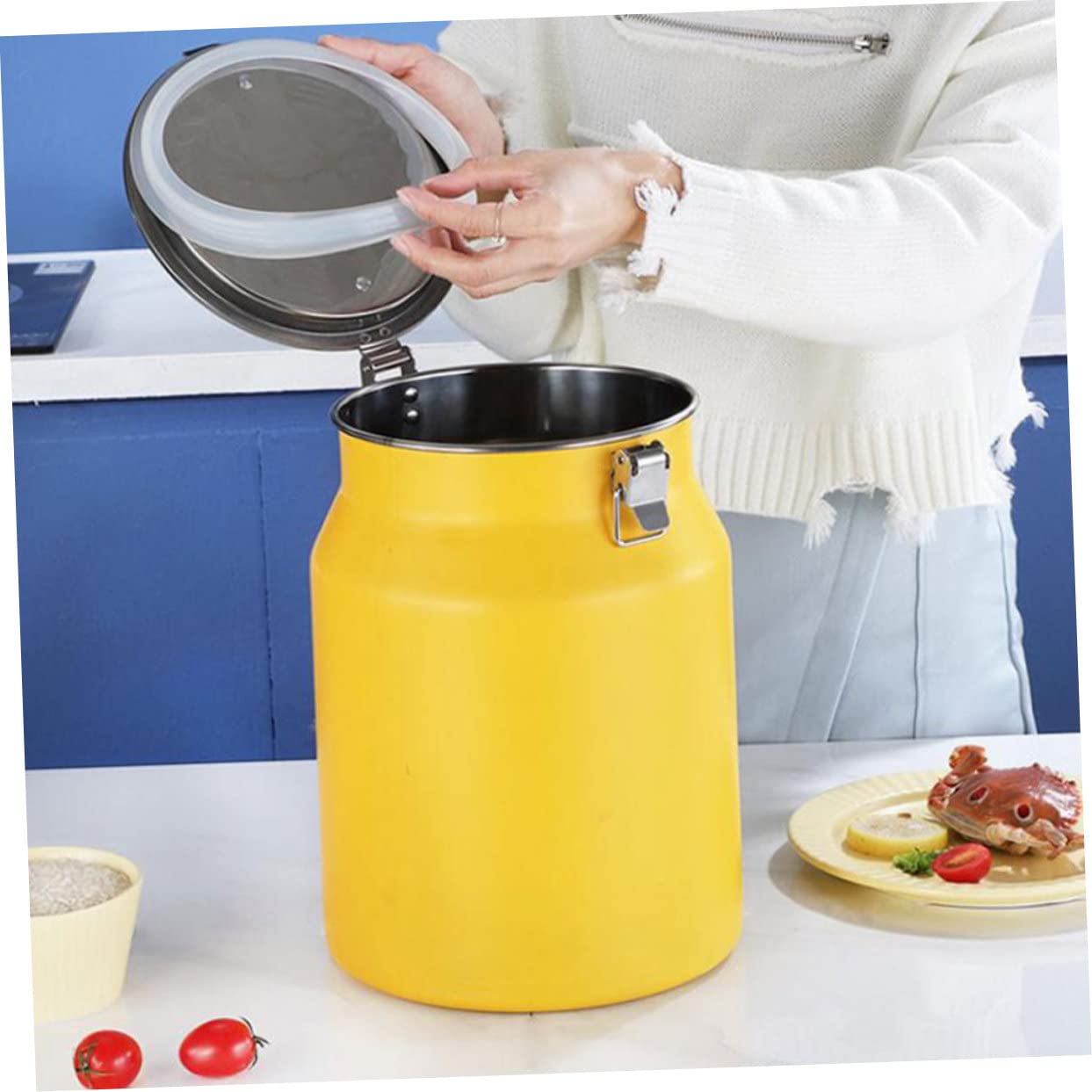 ULTECHNOVO Contenitore Grande da Coperchio in Inossidabile Acciaio e Riso Multiuso Ermetico, Secchio Capacità Design Semplice Cucina per Uso Domestico