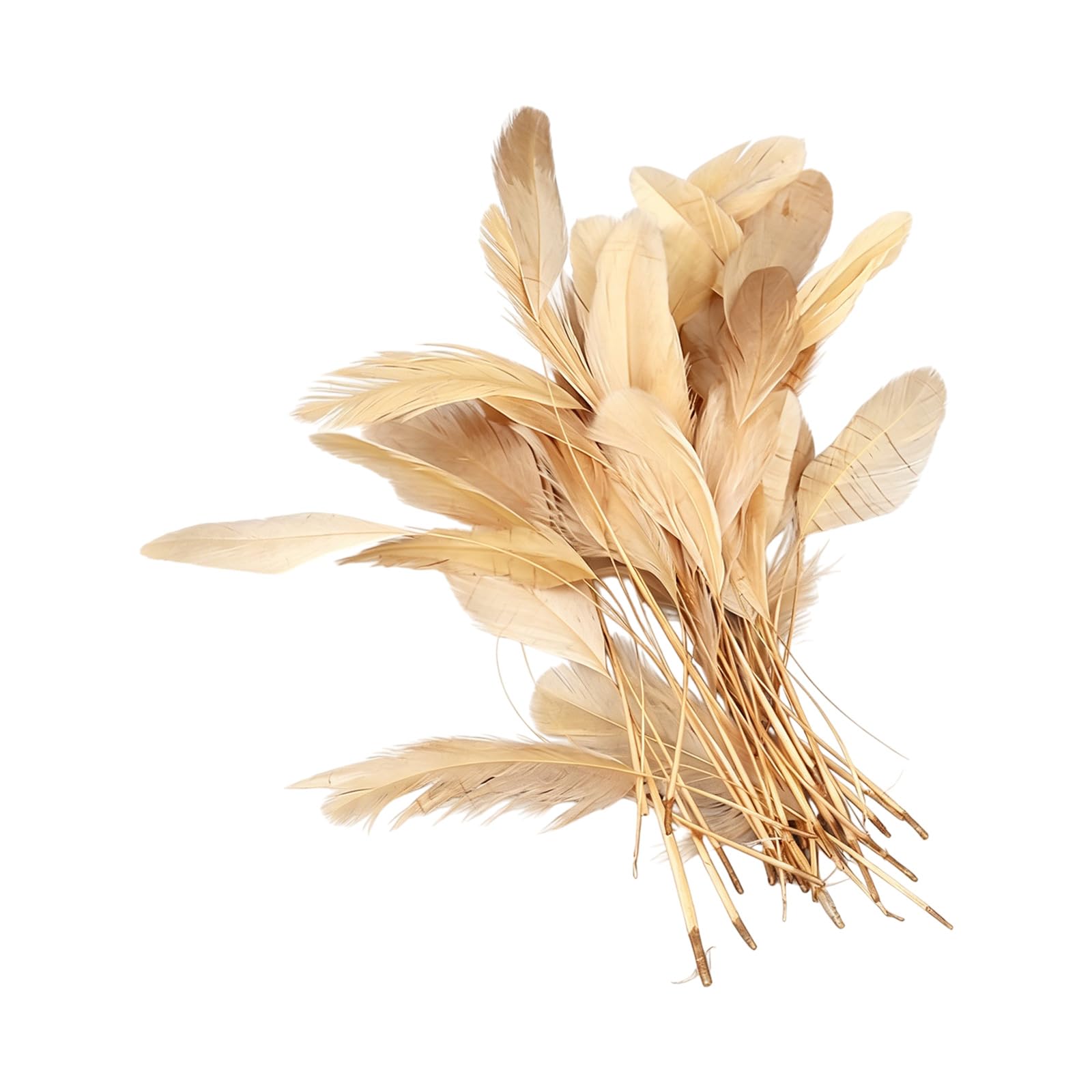 yanzunlrn Of 50 Multiple Color Plumage 12 18CM for Unique Costume Accessories and Event Decoration Long Craft Quills