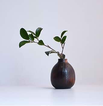 61oRZfPfOJL._AC_UF350,