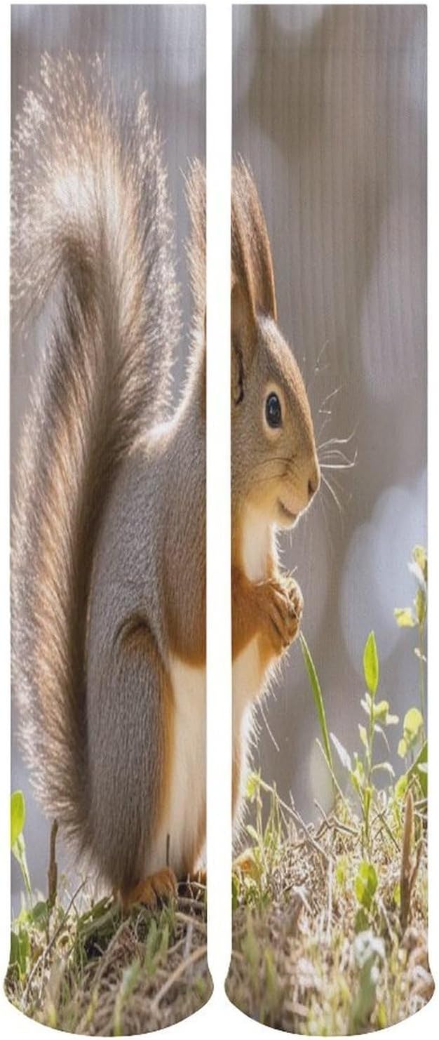 Squirrel Animal Crew Socks Cozy Casual Calf Socks Lightweight Long Work Sock Breathable Athletic Sock for Hiking Sports Running 5 Pairs
