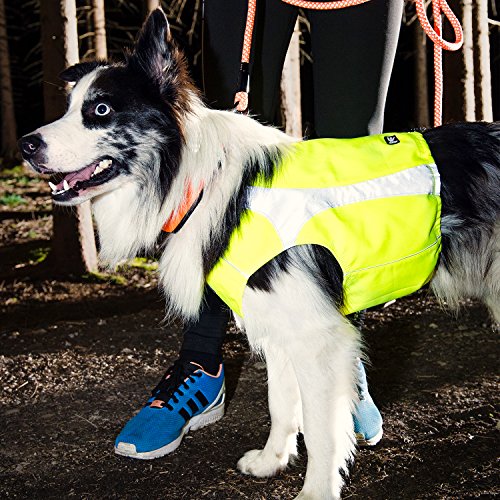 Hurtta Hundeweste Polar, Warnweste