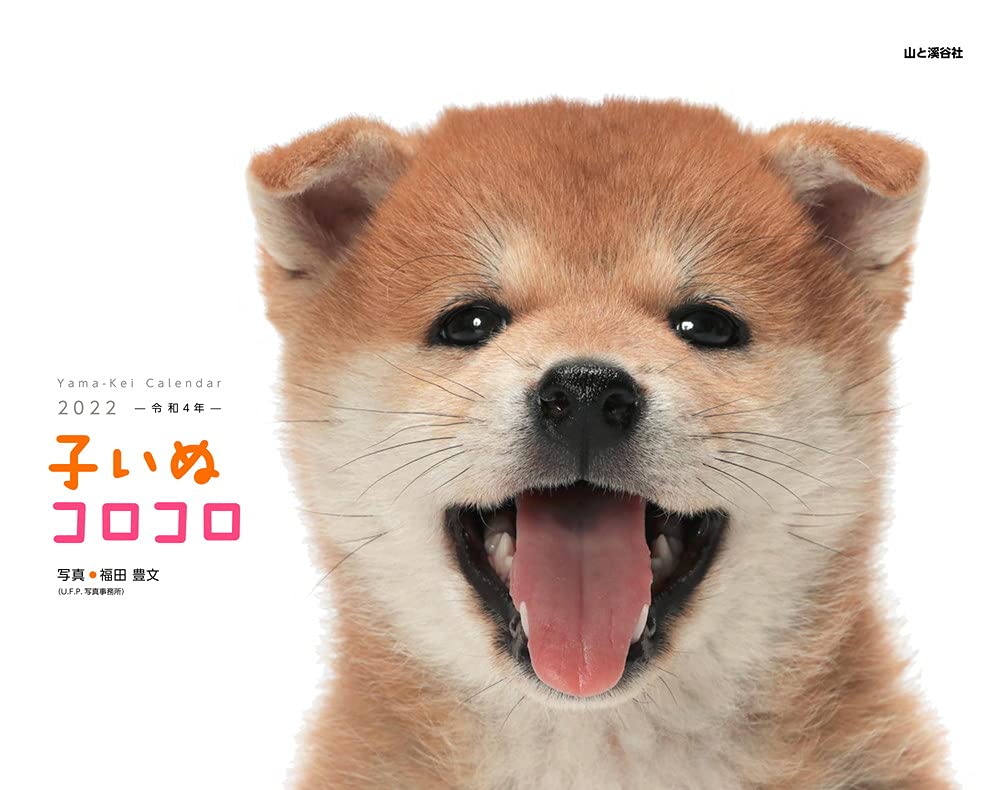 カレンダー22 子いぬコロコロ 月めくり 壁掛け ヤマケイカレンダー22 福田 豊文 本 通販 Amazon