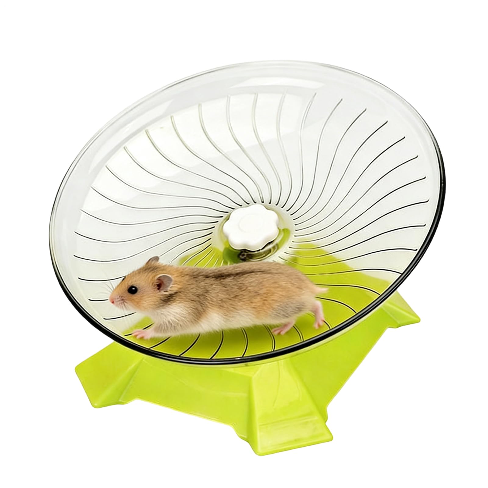 Roue d'exercice pour hamster et gerbille pour éviter l'ennui des rongeurs