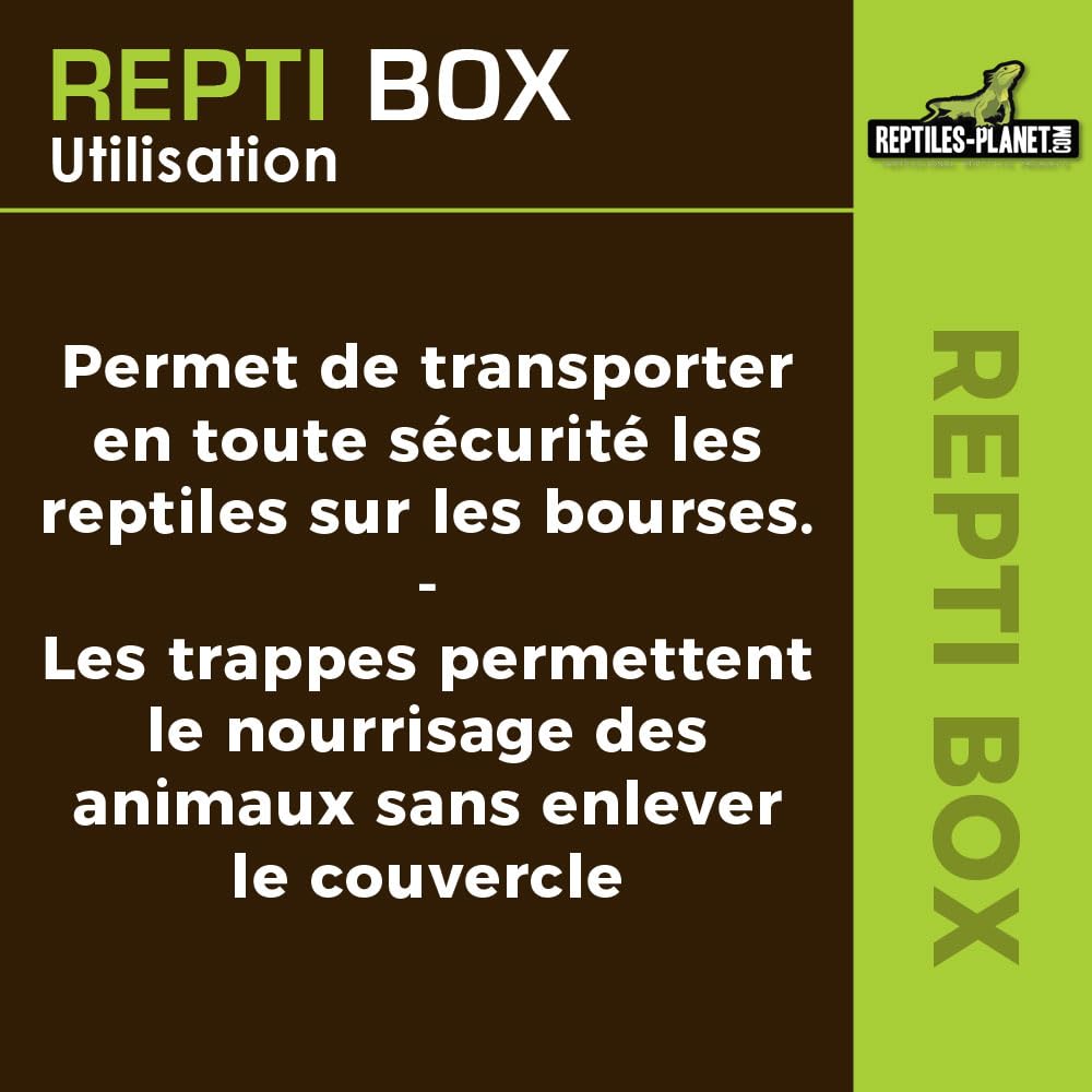 Reptiles Planet Repti Box XL Boite de Transport 42 x 26 x 16 cm