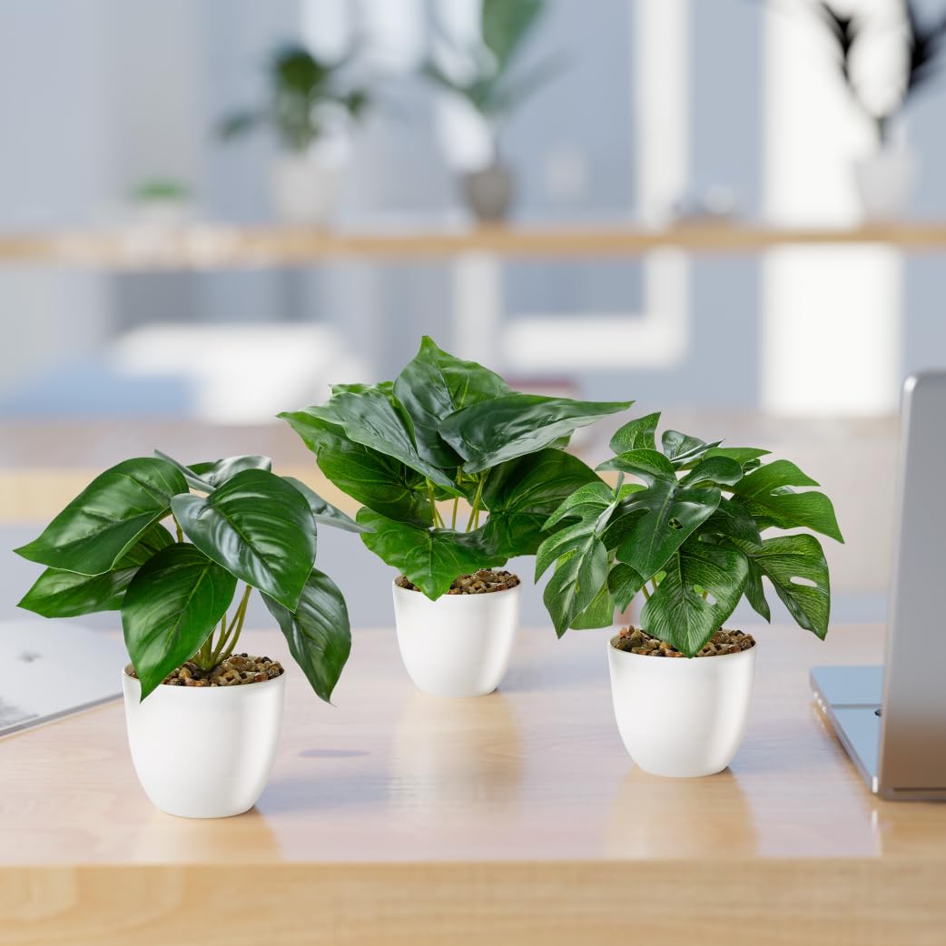 PASCH® Set di 3 piante artificiali come reali (18 cm) in vasi di ceramica lucida, piante artificiali in vaso, fiori artificiali in vaso