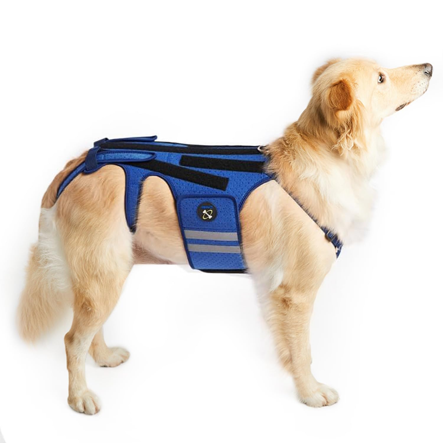 Coodeo Dog Back Brace for Dogs Arthritis, Pet Back Bracer for IVDD, Back Protector Helps Pain Relief, Surgical Recovery and Rehabilitation, Dogs Back Disease Prevention. (Blue,X-Large)