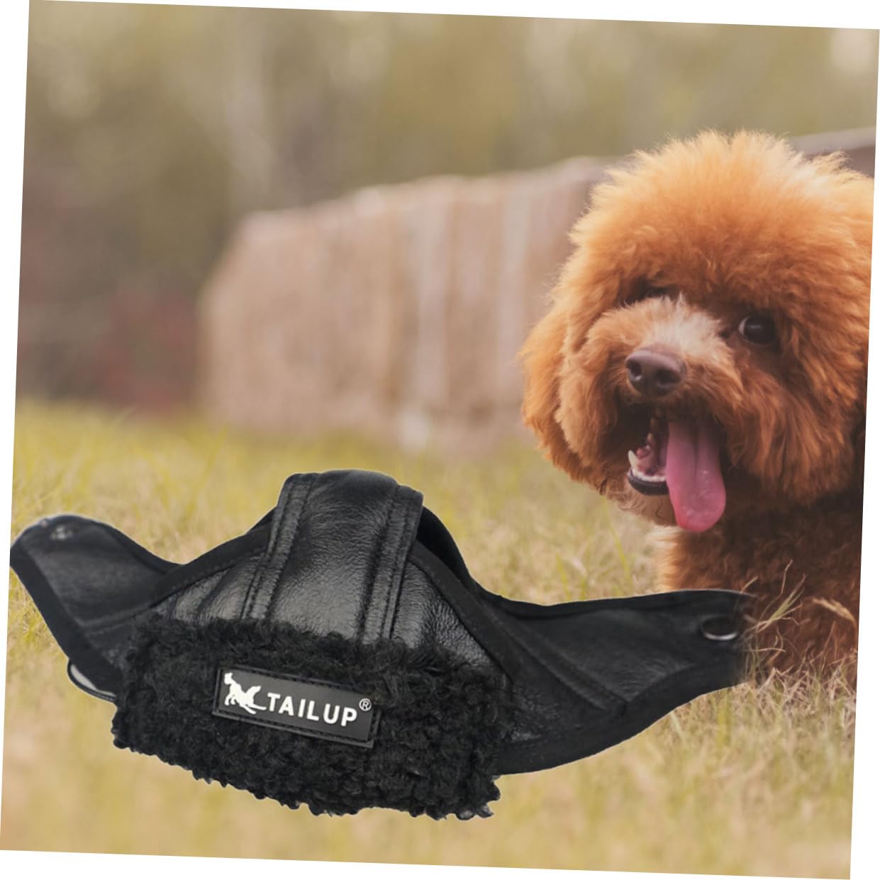 BESPORTBLE 3piezas Sombrero De Piloto para Mascotas Color Negro Disfraz Creativo para Perros y Gatos Talla XL para Fiestas y Eventos Especiales
