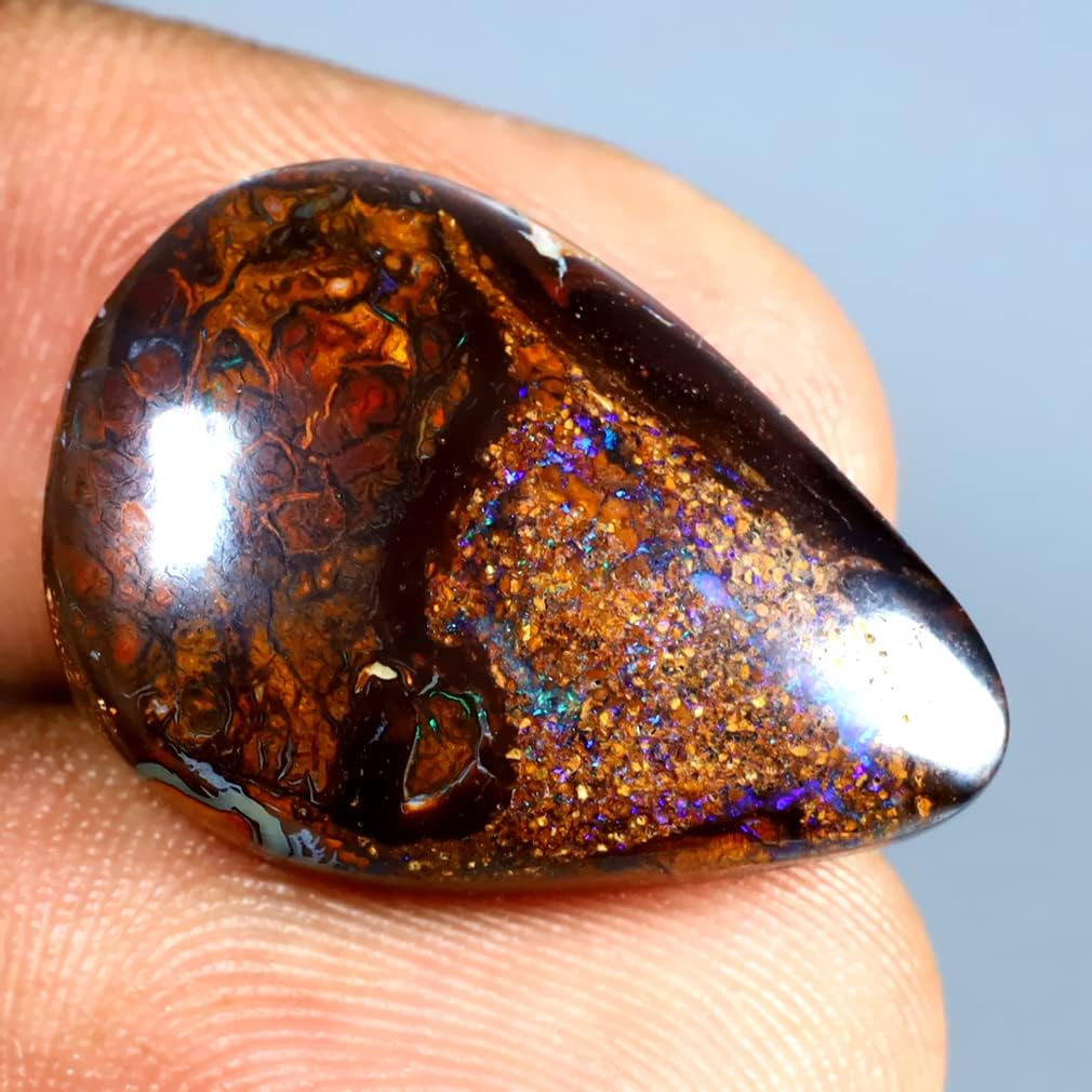 や*わ様 B15565☆オークション販売☆ユーフォルビア オベサ 選抜極上