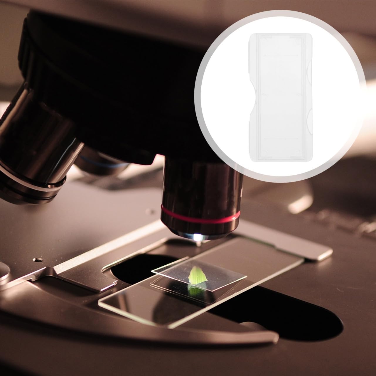 SHINEOFI Boîte de Rangement Plastique Matériau Pp Fermeture Sécurisée 100pcs Différentes Couleurs pour Lames de Microscope Microscopie en Laboratoire
