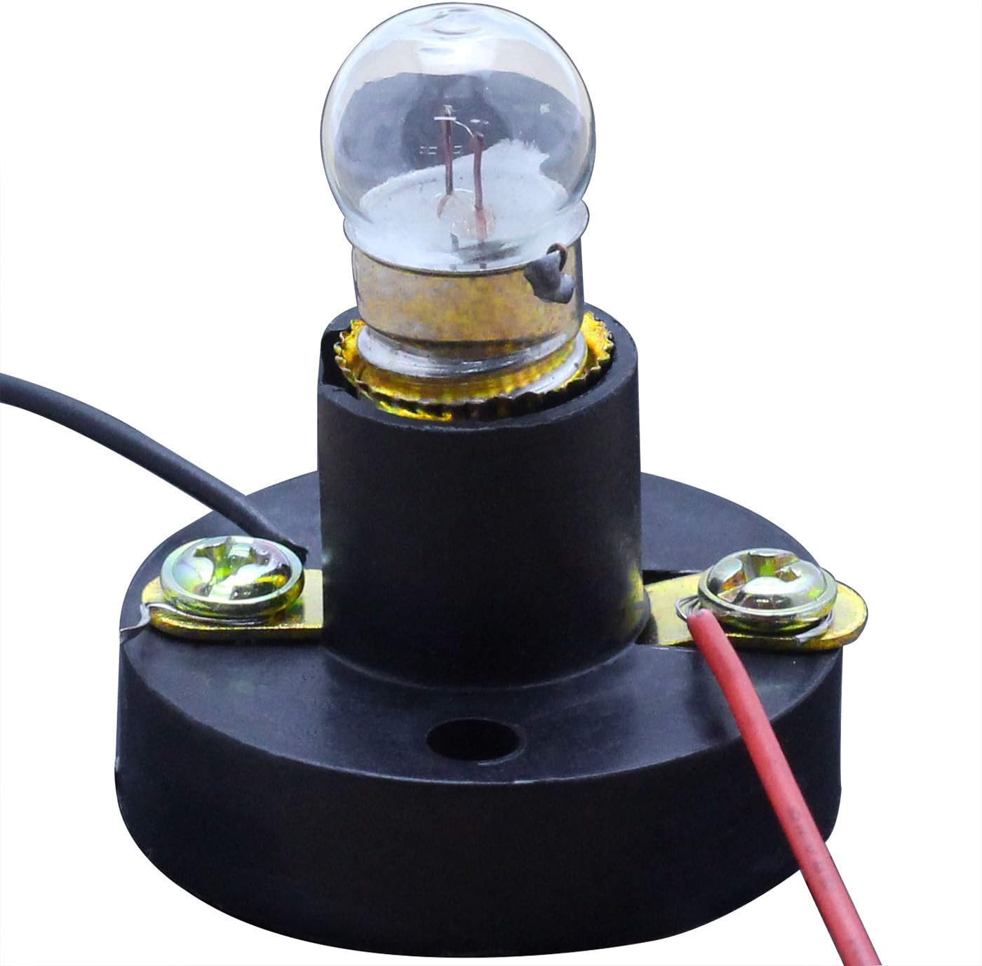 Light bulb with holder Clearance