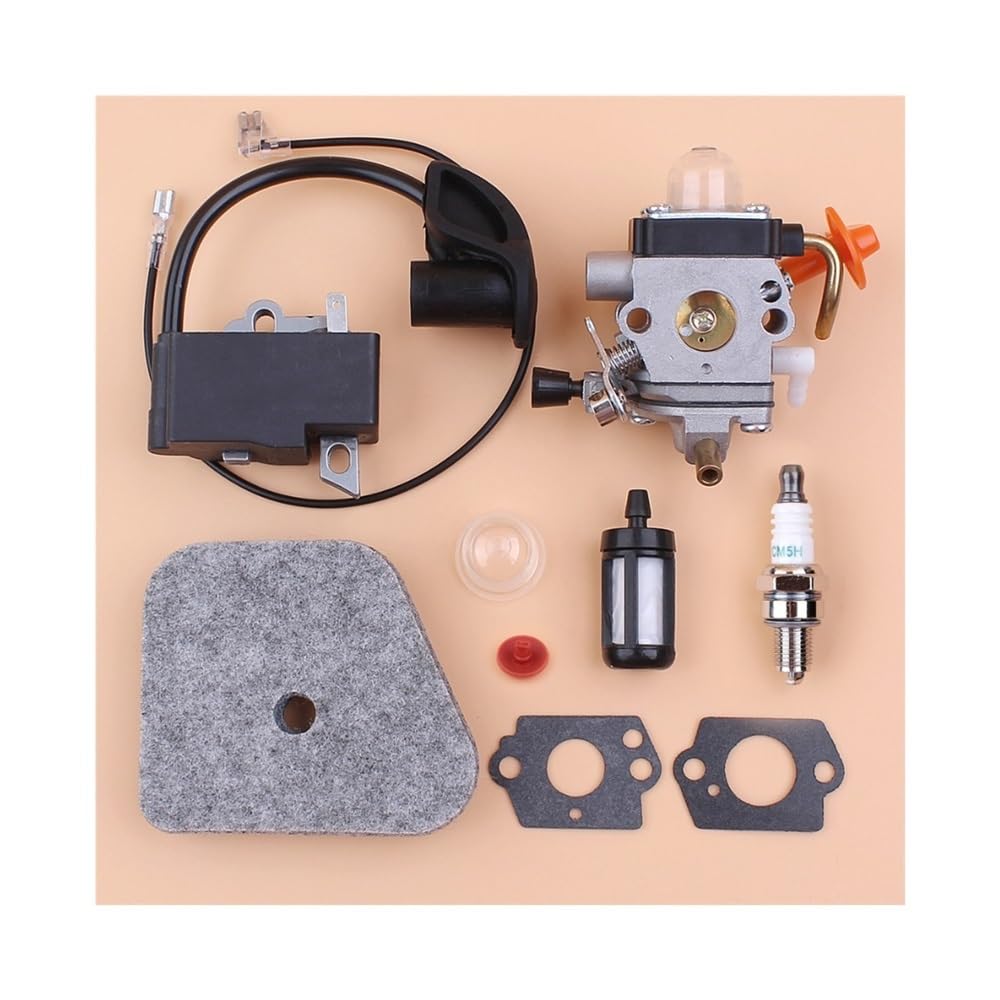 Kit carburateur et filtre à air pour entretenir le jardin avec FS100