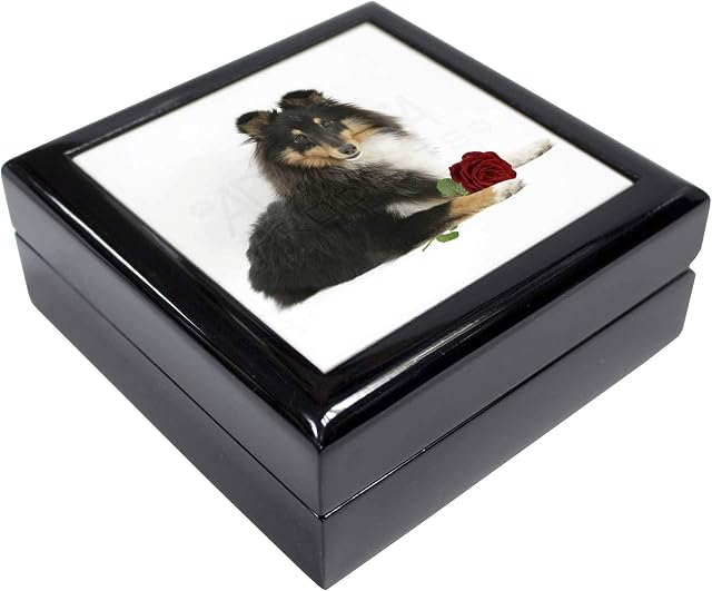 Tri-Col Sheltie with Red Rose Keepsake/Jewellery Box Christmas Gift