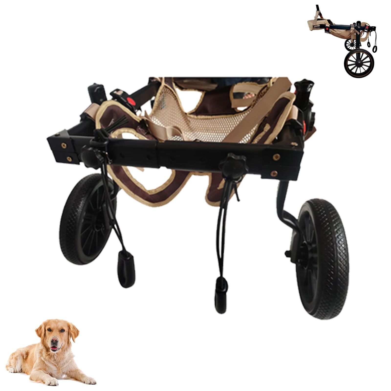 Chariot de mobilité pour chien XL fauteuil roulant réglable 2 roues pour soutien arrière