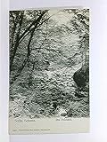  AK Stadt und Festung Königstein, Sächs. Schweiz; ungelaufen, ca. 1910