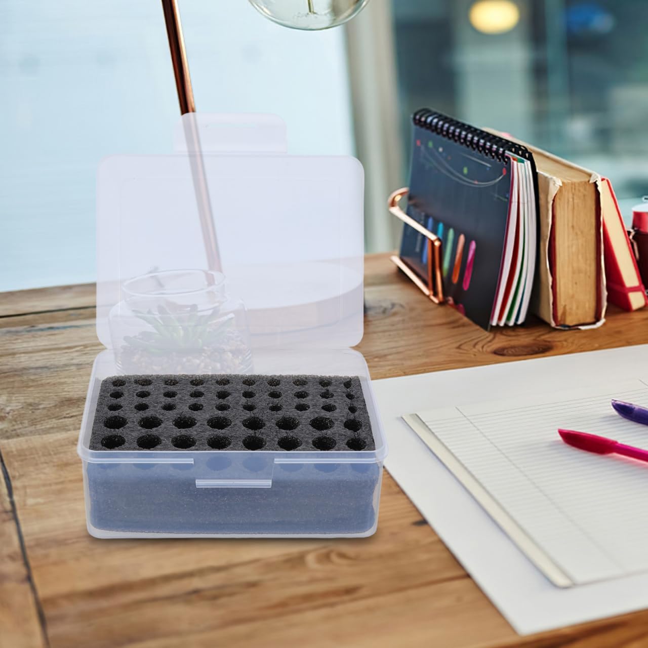 SOIMISS Battery Organizer Box for AA & AAA Transparent Holder Case with Foam Insert Dustproof Portable Storage Container for Remote Flashlight Electronics Plastic Receptacle Tool Home Setup