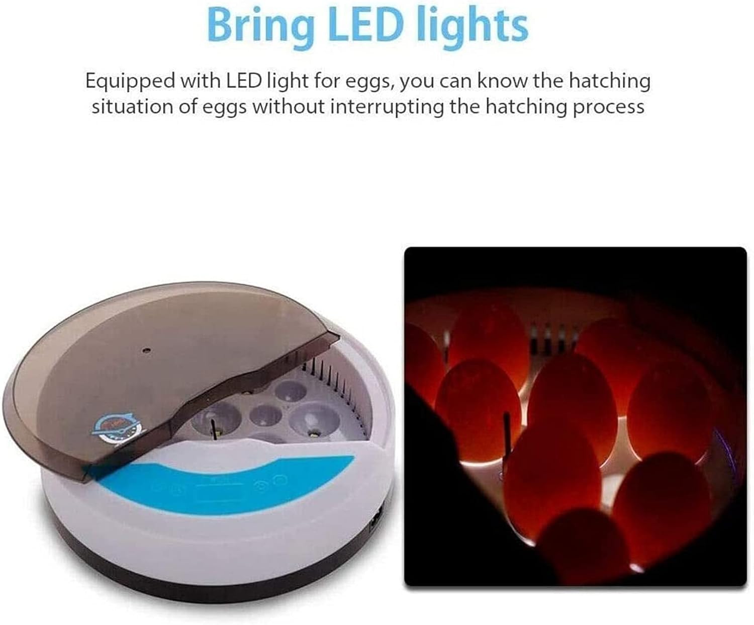 卵孵化器、自動卵回転機能付き卵孵化器、湿度温度調節機能、LED