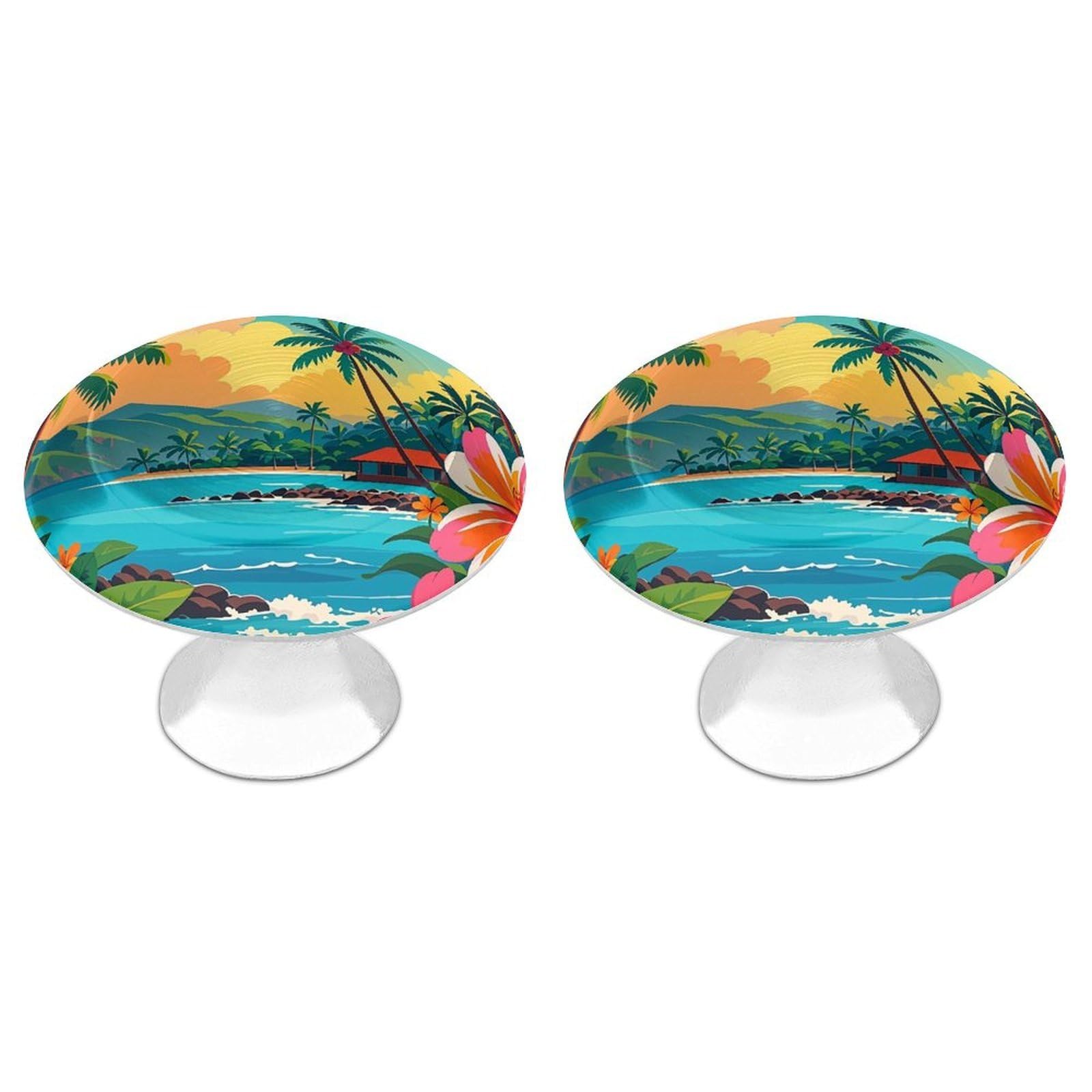 FekiLoot Round Cabinet Knob 2 Pack Kitchen Drawer Knobs Stainless Steel Round Drawer Pulls Modern Cabinet Hardware Hello Hawaii Drawer Hardware for Dresser Closet Door Knobs