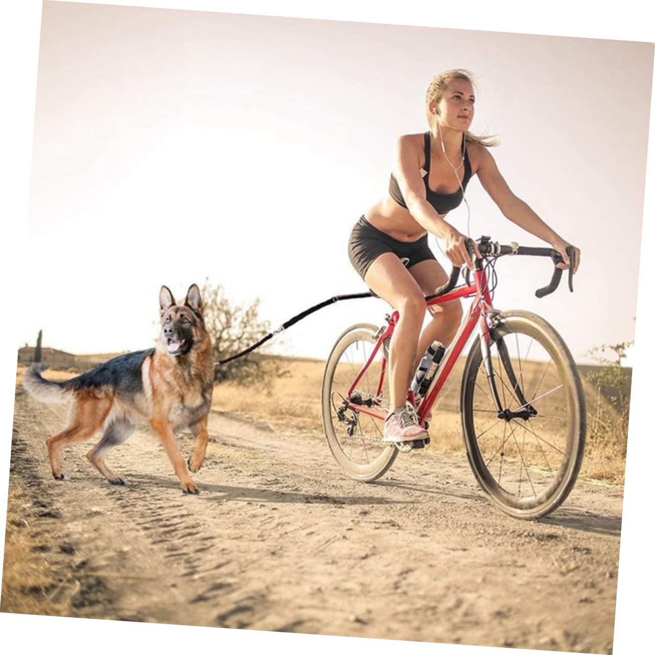 POPETPOP Correa para Perro Desmontable De Metros Cuerda De Tracción para Mascotas para Adiestramiento y Paseos Bicicleta Accesorios para Perros