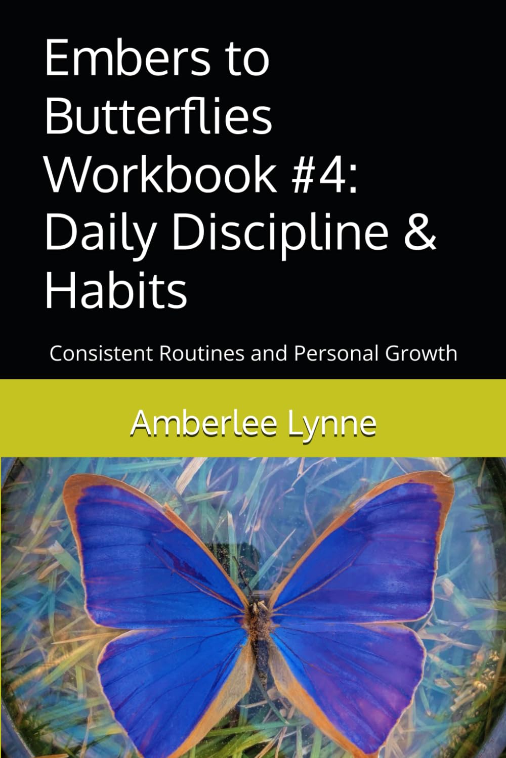 Embers to Butterflies Workbook #4: Daily Discipline & Habits: Consistent Routines and Personal Growth