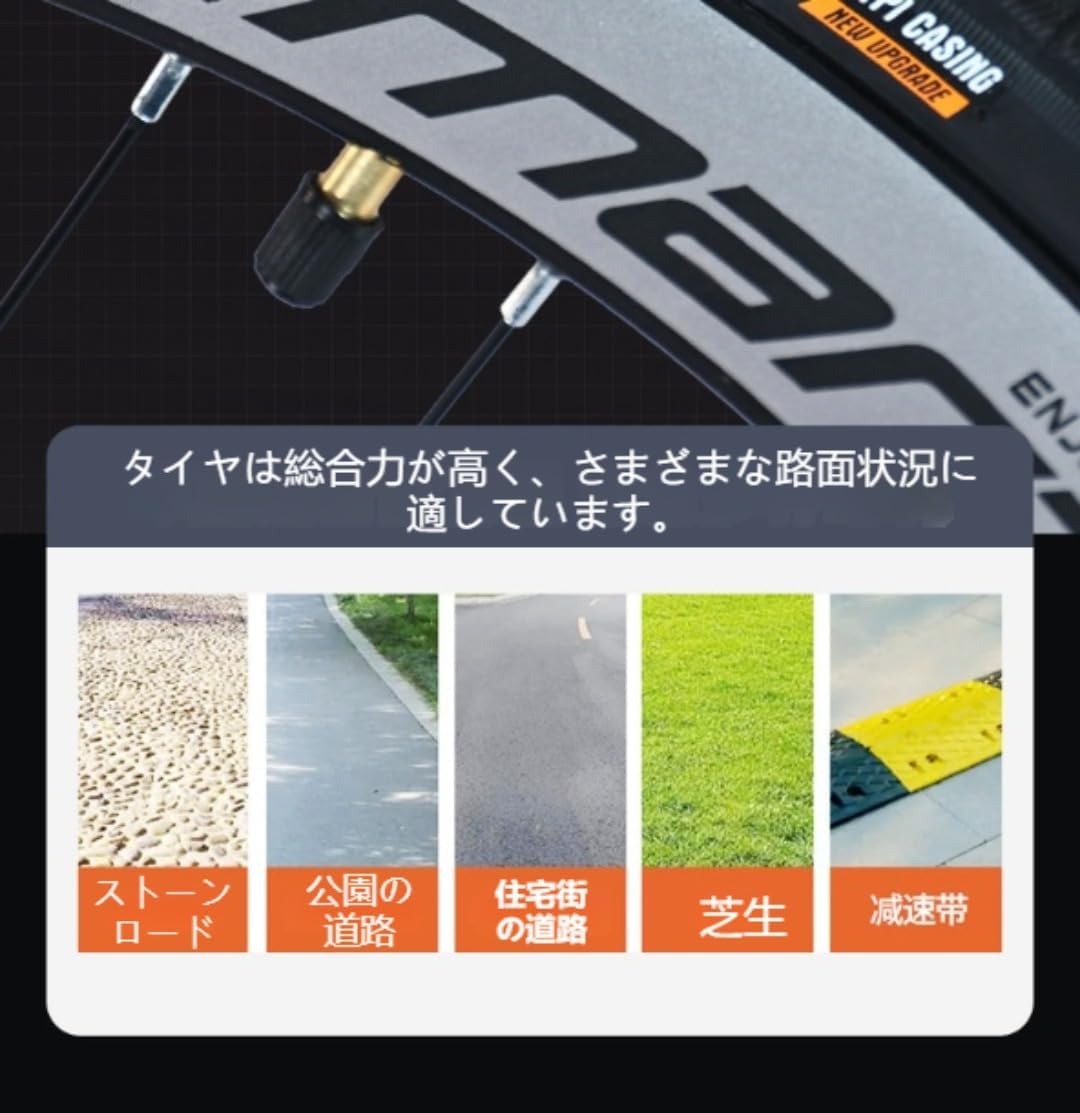 dita 京の凪金魚 5点セット