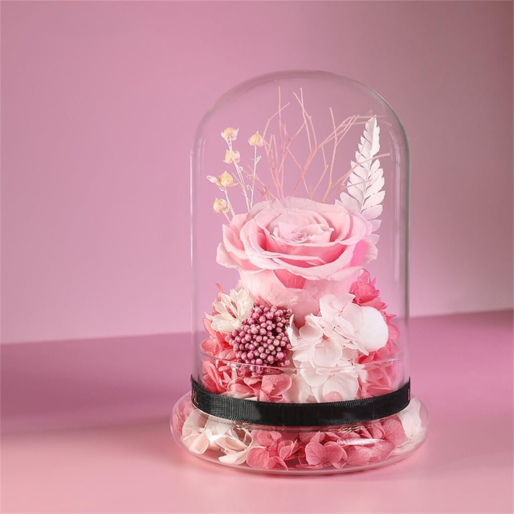 Dry Flower Bundle Eternals Glass Cover Gift Box Wedding Birthday for Girlfriend and Wife