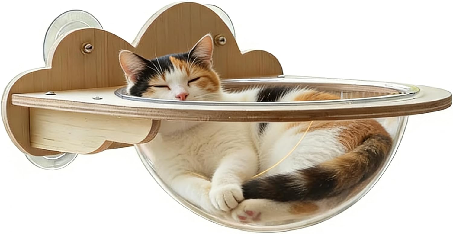 Cat Paradise Space Capsule Window Cat Bed, Suction Cup Mount, Clear Acrylic Bowl with Wood Shelf, 20kg Load Capacity