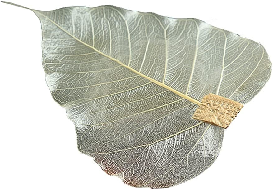 Coffee Accesories Leaf Shape Tea Infuser Tea Strainer Green Stainless Colander
