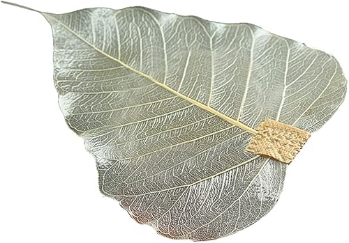 Hemoton Infusor de té en forma de hoja, filtro de té Kung Fu, filtro de té de hojas sueltas para ceremonia de té de Kongfu chino, colador de acero