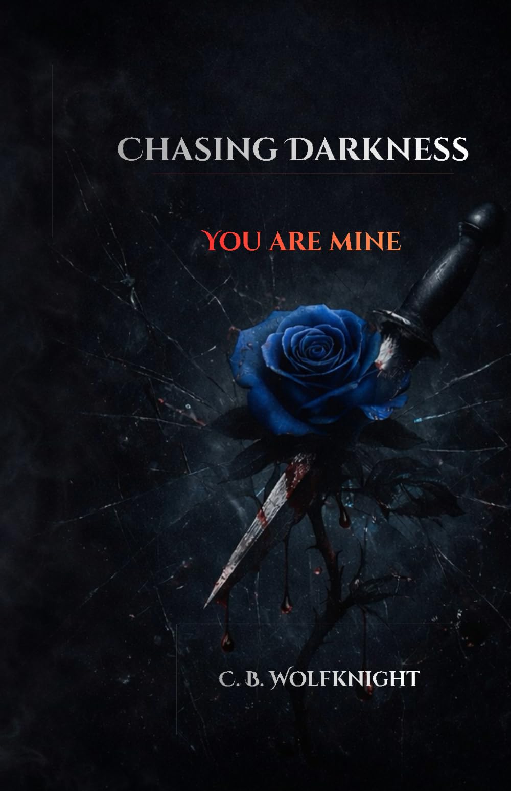 Chasing Darkness: You are mine
