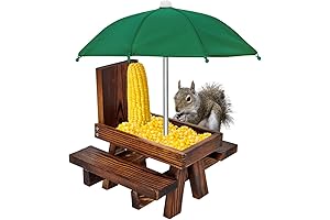 VASGOR Squirrel Picnic Table with Umbrella, Entertains Squirrel Hours