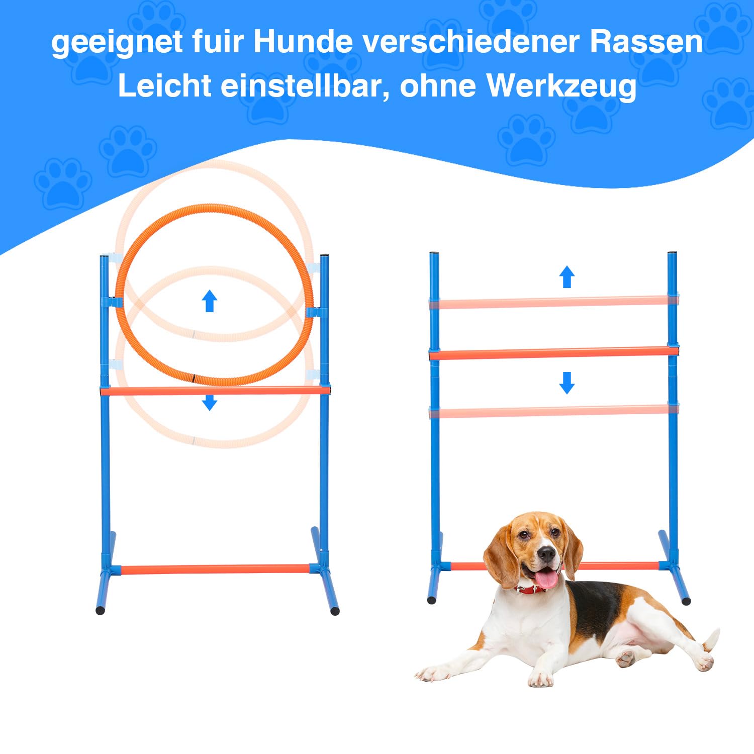 Agility Set Hunde, 5-teilig für Hundetraining & Freizeit | Zubehör umfasst Sprungring, Sprungstange, Tunnel, Slalomstangen, Pausenmarkierung, Ball, Pfeife und Transporttasche