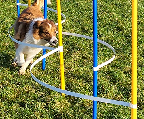 Wuzzmann Agility - Slalom - AUSBILDUNGSSET MIT 4 SLALOMBÖGEN/TRAININGSBÖGEN + 6 SLALOMSTANGEN GELB/BLAU