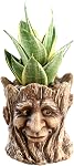Funny Planter Tête Pot de plante avec trou de drainage Résine Succulent Plant Holder Crayon de bureau Organisateur Office Garden Cadeau (Smile Face)