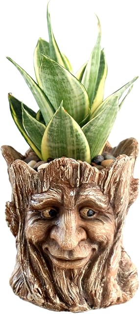 Funny Planter Tête Pot de plante avec trou de drainage Résine Succulent Plant Holder Crayon de bureau Organisateur Office Garden Cadeau (Smile Face)