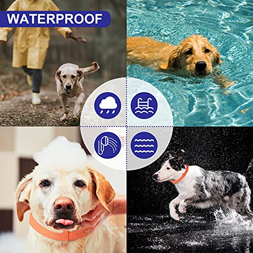 2 Pack Natural Flea Collar for Dogs with 8-Month Prevention, Waterproof Dog Flea and Tick Collar, Adjustable Flea and… - Image 7
