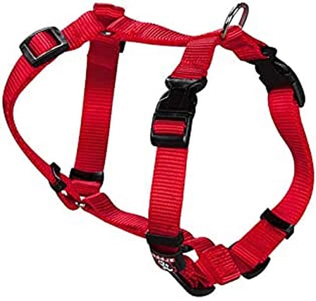Arppe 2241012501 Arnés Nylon Basic, Rojo