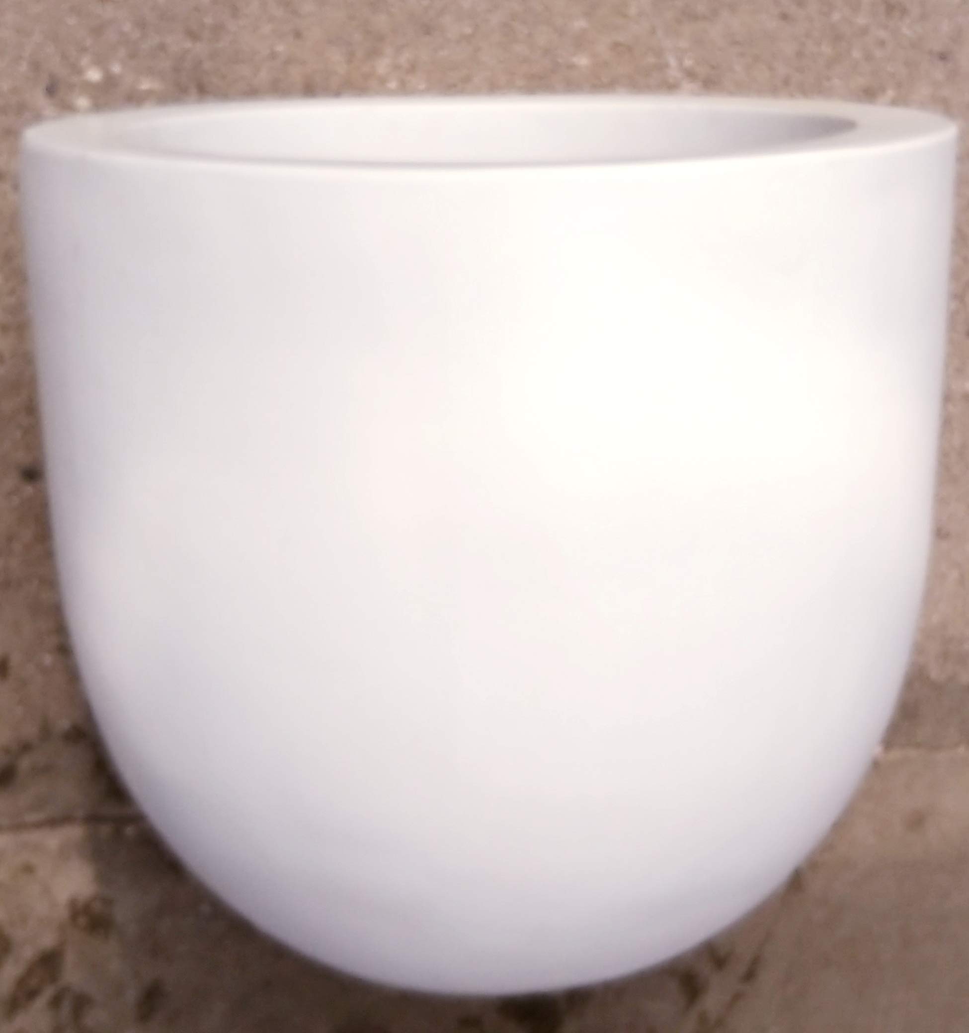 POWERS TO FLOWERS - ASPIDISTRIA IN VASO CERAMICA BIANCO SATINATO, pianta vera