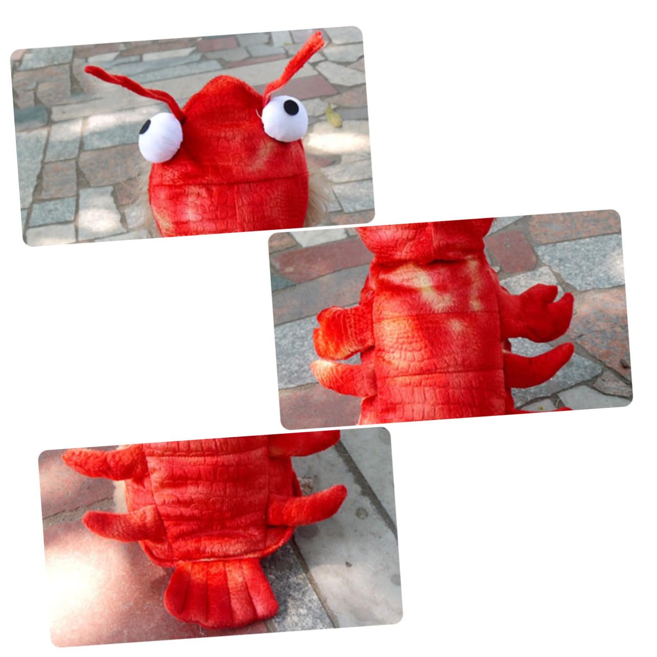 Toddmomy 3piezas Disfraz De Halloween para Perro Forma De Langosta Roja Cómodo y Duradero para Fiestas y Fotos Talla