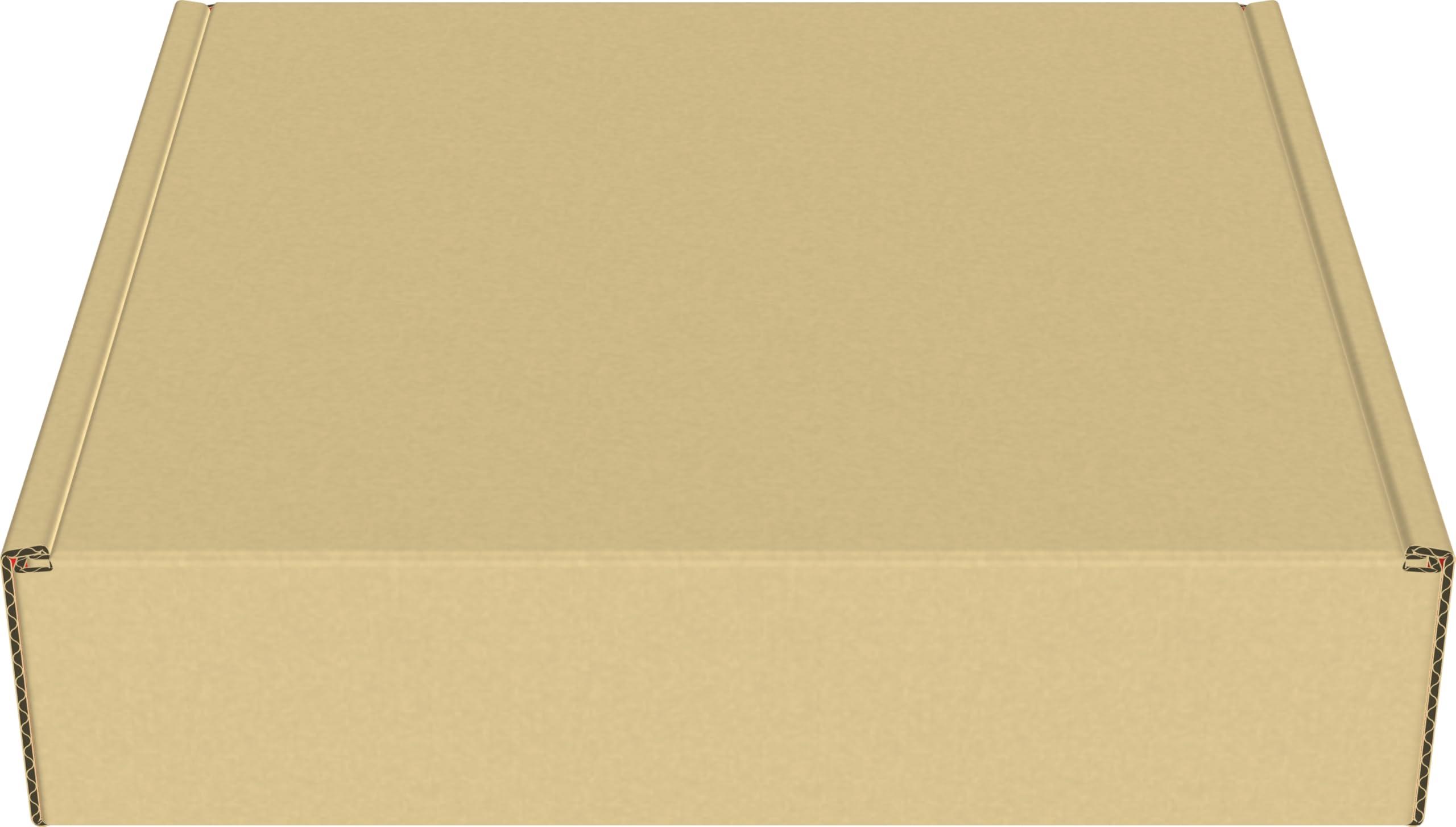 Confezione con Mazzo Lotte ex Ampharos-ex e due buste di espansione del GCC Pokémon: (mazzo di 60 carte pronto all’uso), edizione in italiano ESCLUSIVA AMAZON