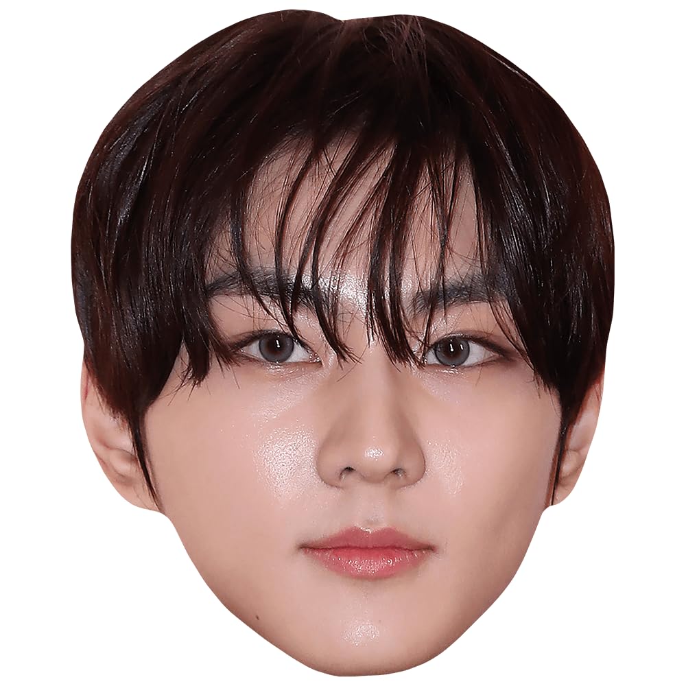 Yang Jung-Won (Dark Hair) Celebrity Mask, Flat Card Face, Fancy Dress Mask
