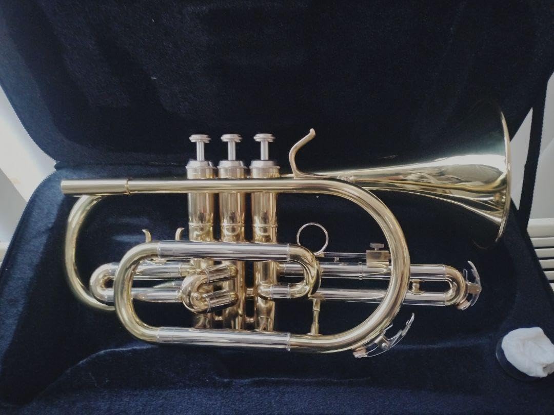 コルネット 金色 3バルブ ケース付き 楽器・音響機器 コルネット 金色 3バルブ ケース付き 楽器・音響機器