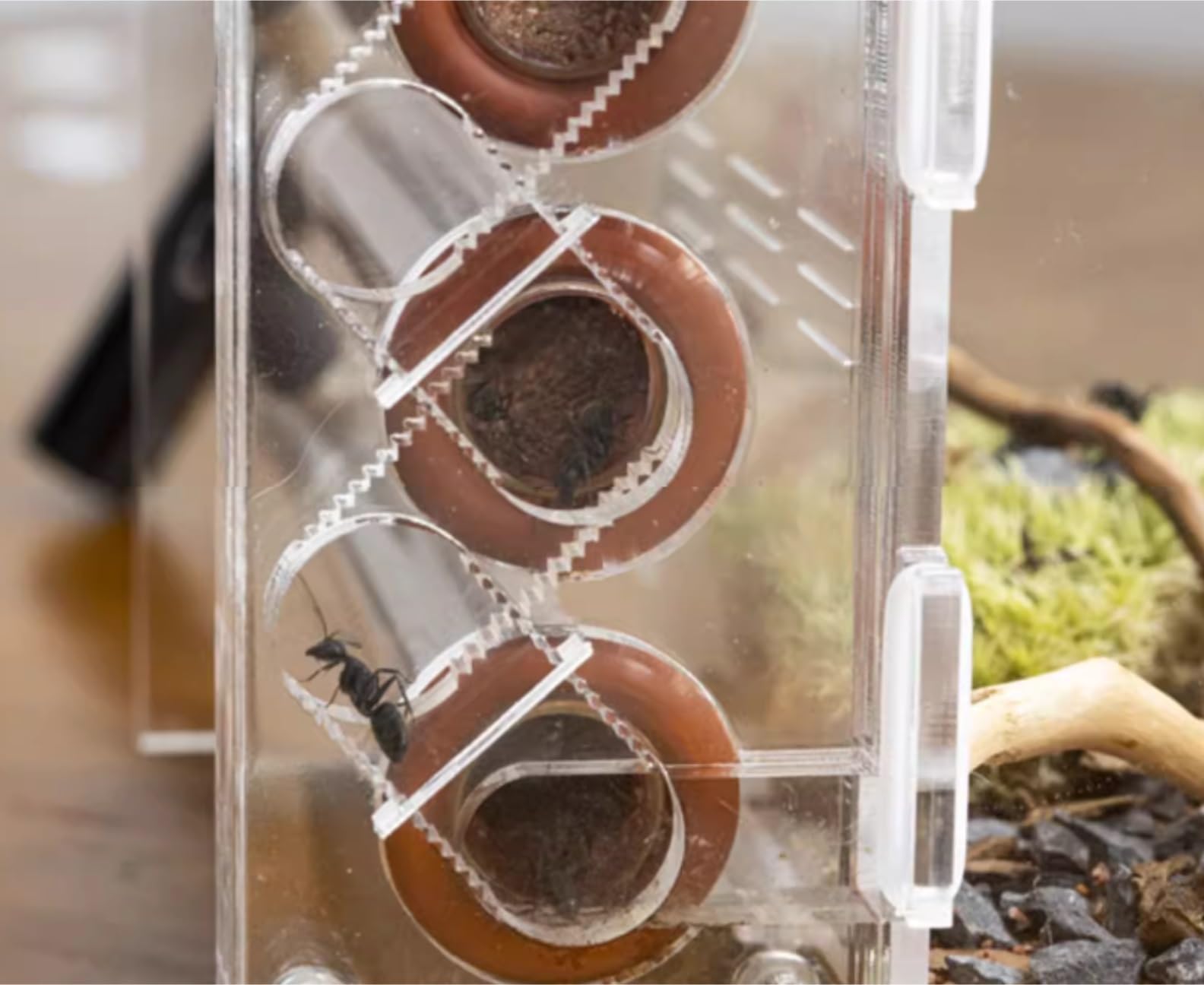 Ameisenfarm für Erwachsene Ameisenfarm-Nest Für Lebende Ameisen, Pädagogisch Wertvoll, Mit Wasserturm, Pflegeraum Und Umfassender Beobachtung Ameisen Terrarium
