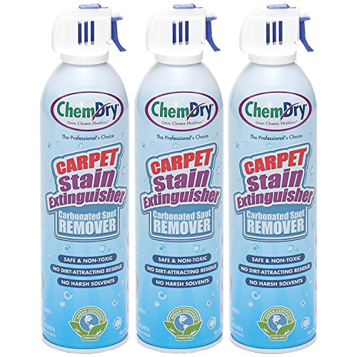 Top 10 Best Chem Dry Carpet Cleaner Reviews & Buying Guide Katynel