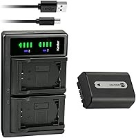 Vista 10 de Kastar Paquete de 2 baterías NP-FH50 y cargador USB LTD2 de repuesto para Sony DCR-SR36, DCR-SR37, DCR-SR38, DCR-SR40, DCR-SR42, DCR-SR45, DCR-SR46