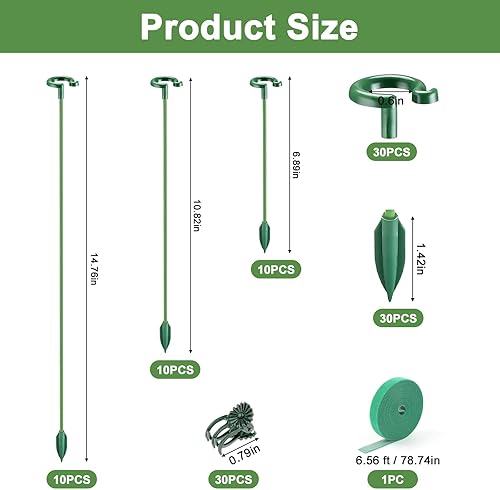 Miniatura 2 de 30 estacas para plantas con anillos para plantas de interior, 14.5610.636.69 pulgadas, palos de soporte para plantas verdes de un solo tallo