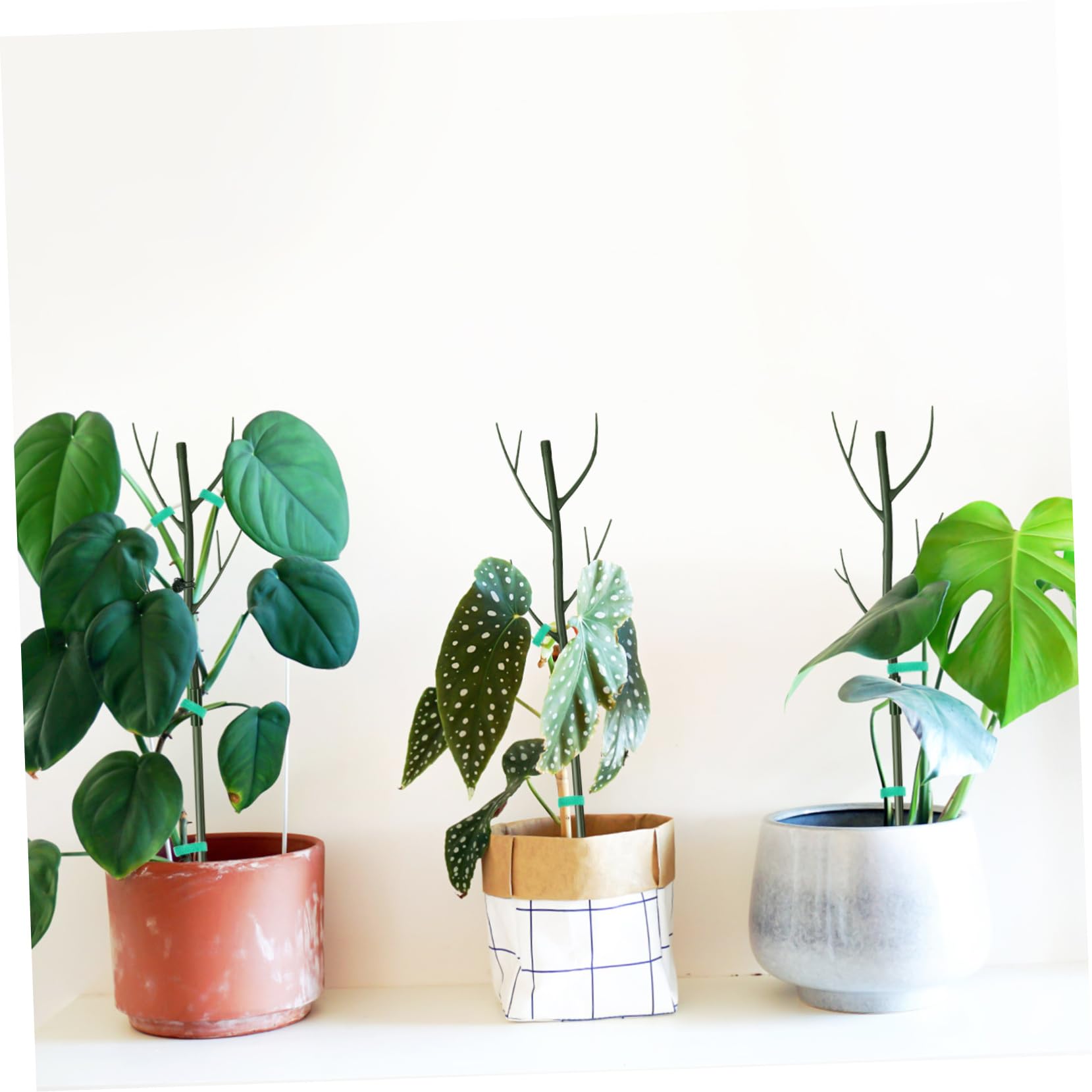 VANZACK Tuteur pour Plantes Grimpantes en Plastique Vert, 1 Set Clips à Fleurs et Attaches Torsadées, Résistant, pour Intérieur et Jardin