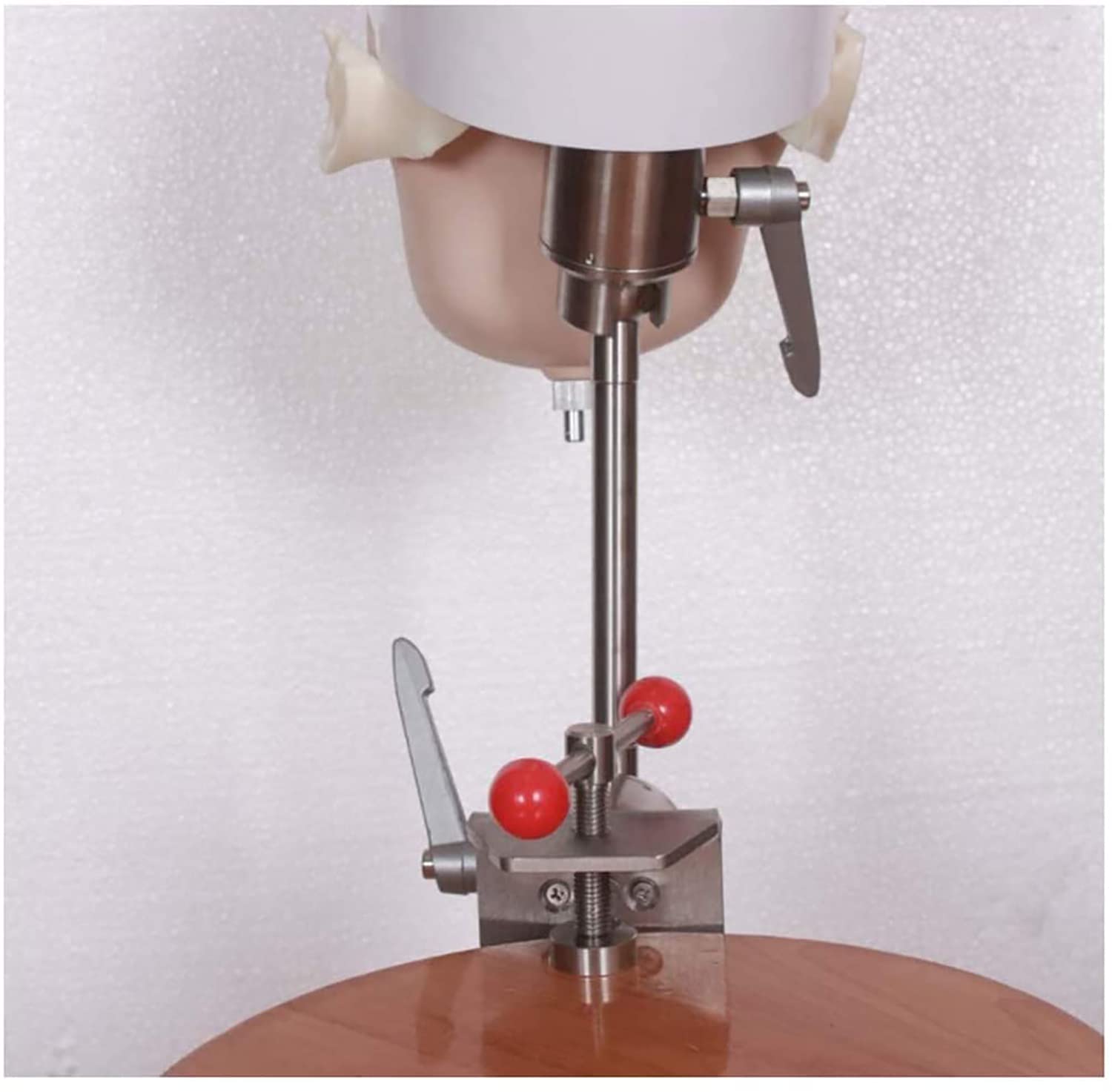 UWYTGF Teaching Model,Dental Phantom Head Dental Simulator Phantom Head Training Head Model for Training