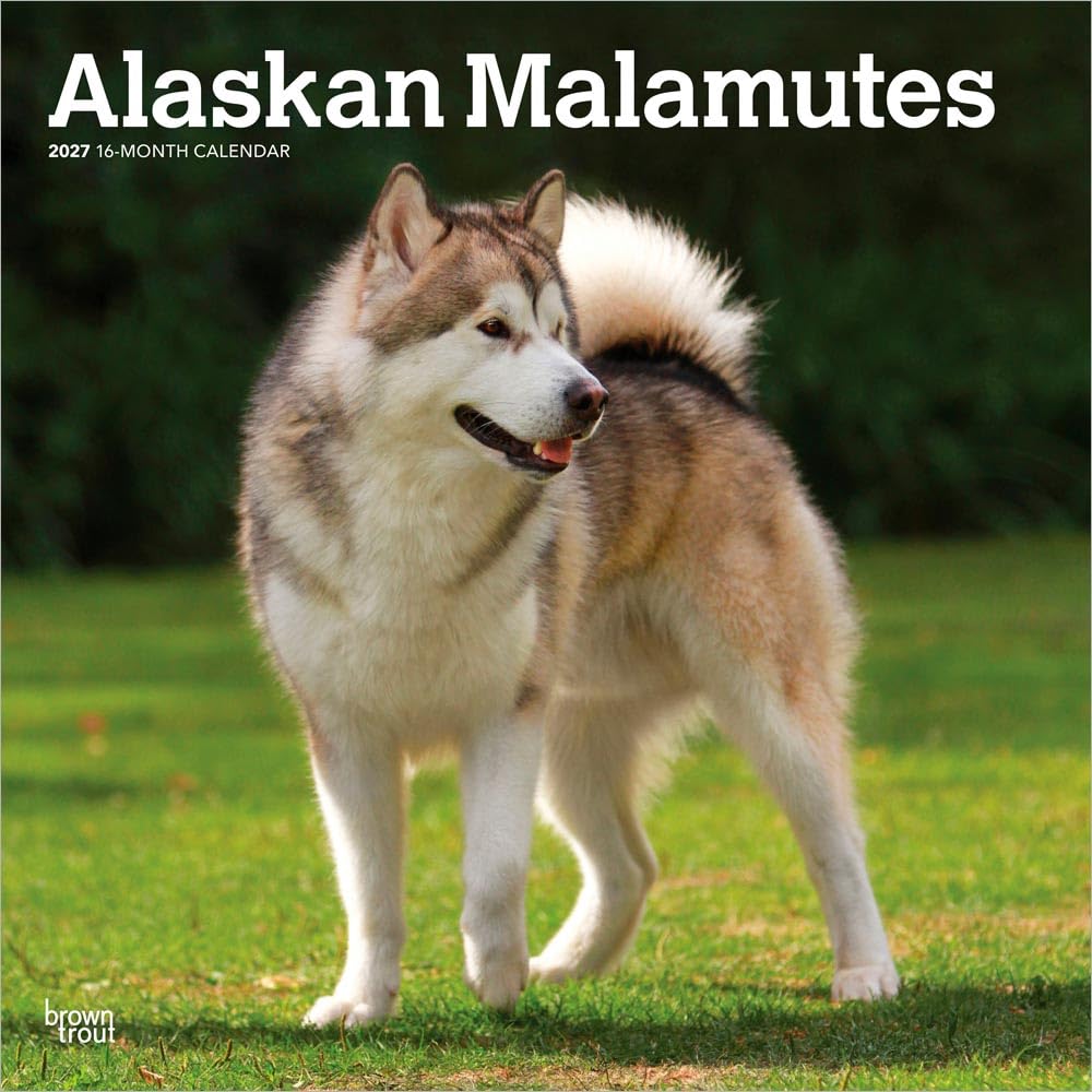 Alaskan Malamutes 2027 - 16-Monatskalender: Original BrownTrout-Kalender [Mehrsprachig] [Kalender] (Alaskan Malamutes | 2027 12 x 24 Inch (Hanging) ... | BrownTrout | Animals Dog Breeds)