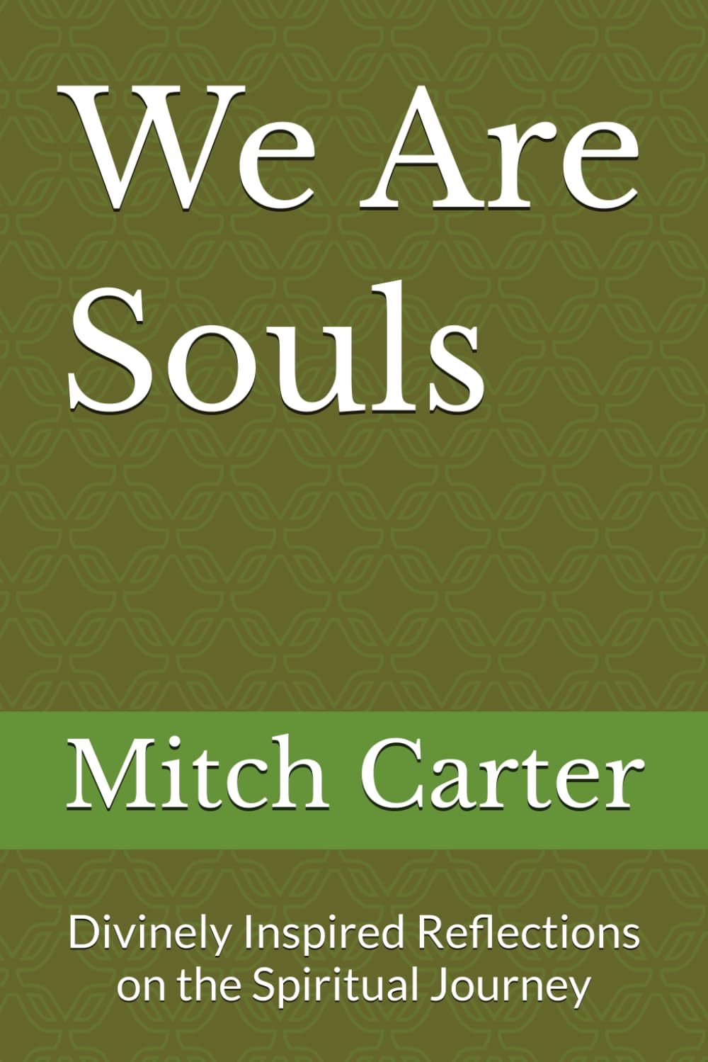 We Are Souls: Divinely Inspired Reflections on the Spiritual Journey