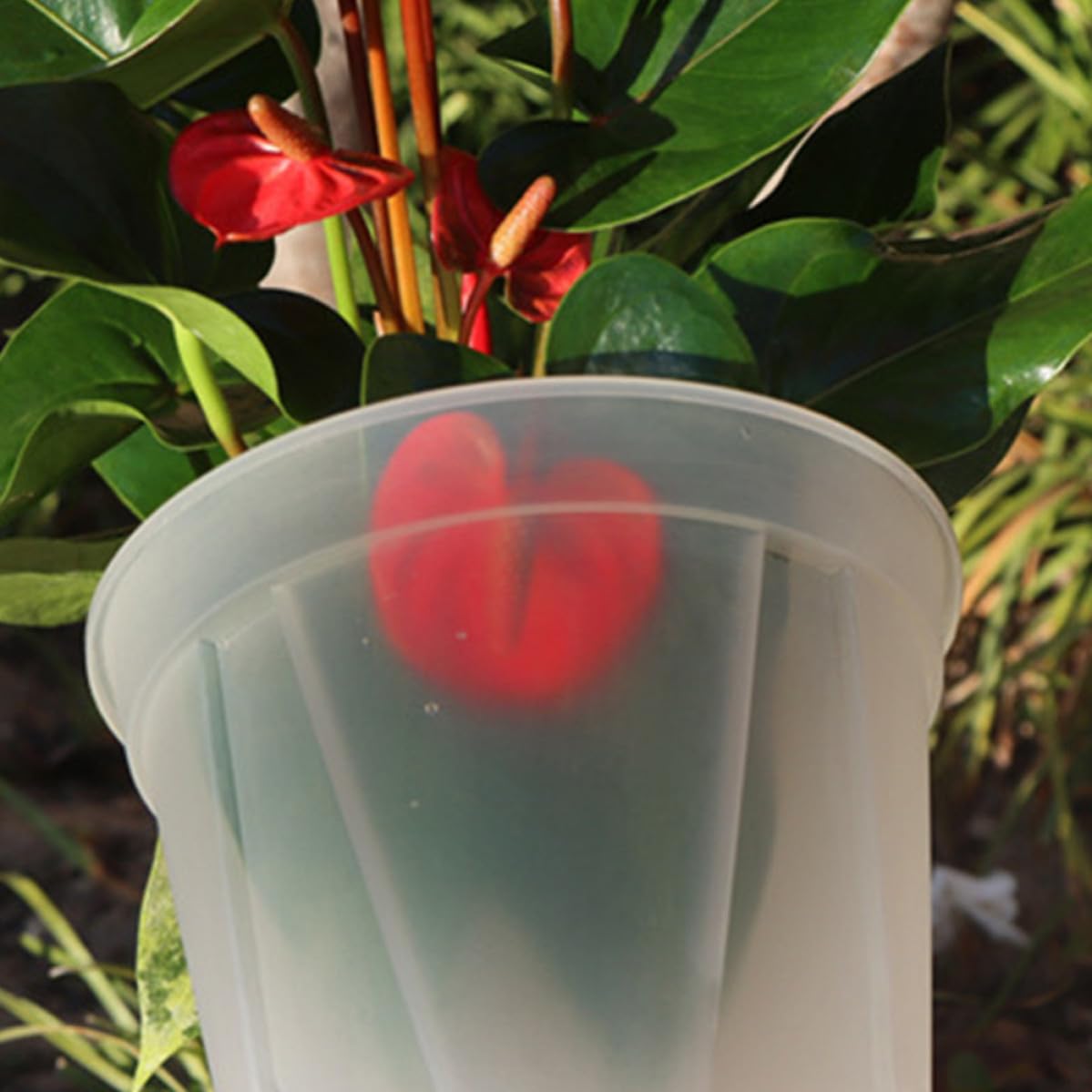 Blumentopf Durchsichtig 2 Stück aus Kunststoff mit Belüftungslöchern zur Wurzelkontrolle Dekorativer Pflanztopf für Orchideen und Saatgut Geeignet für Drinnen und Draußen